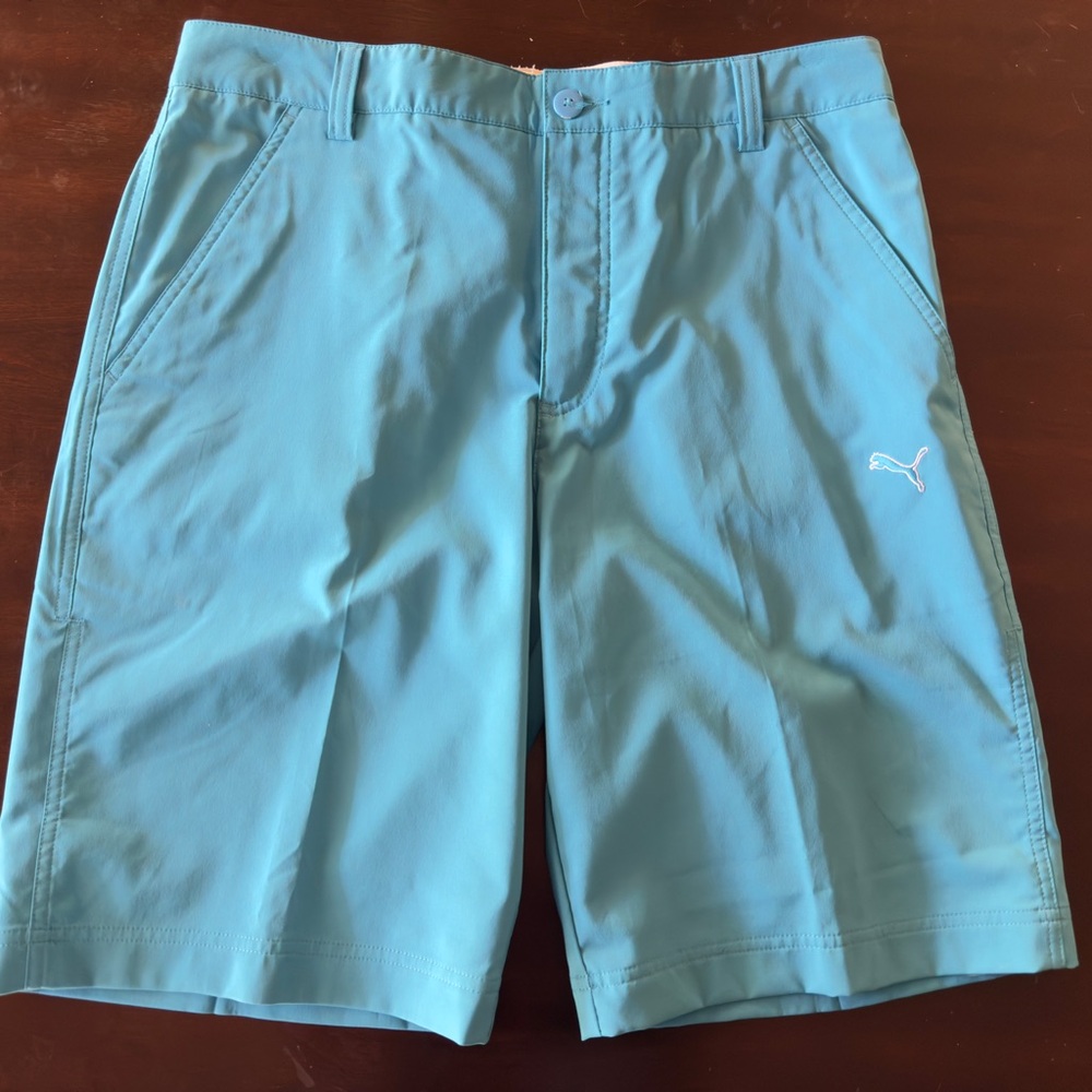 Puma Men's Blue Shorts